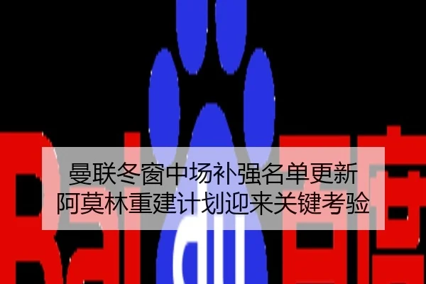 曼联冬窗中场补强名单更新 阿莫林重建计划迎来关键考验